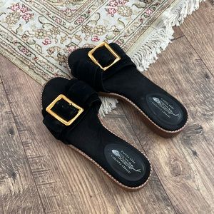 Gold Buckle Jefferey Campbell Suede Slides